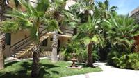 Los cabos for sale condos